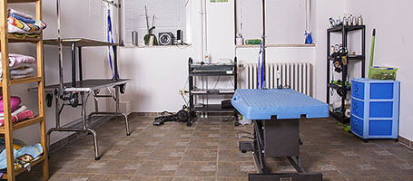 hundesalon kiel