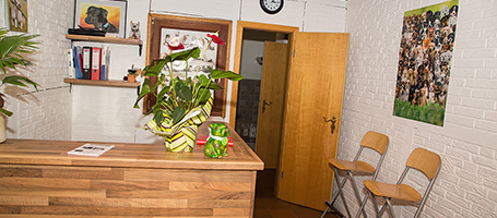 hundefriseur kiel
